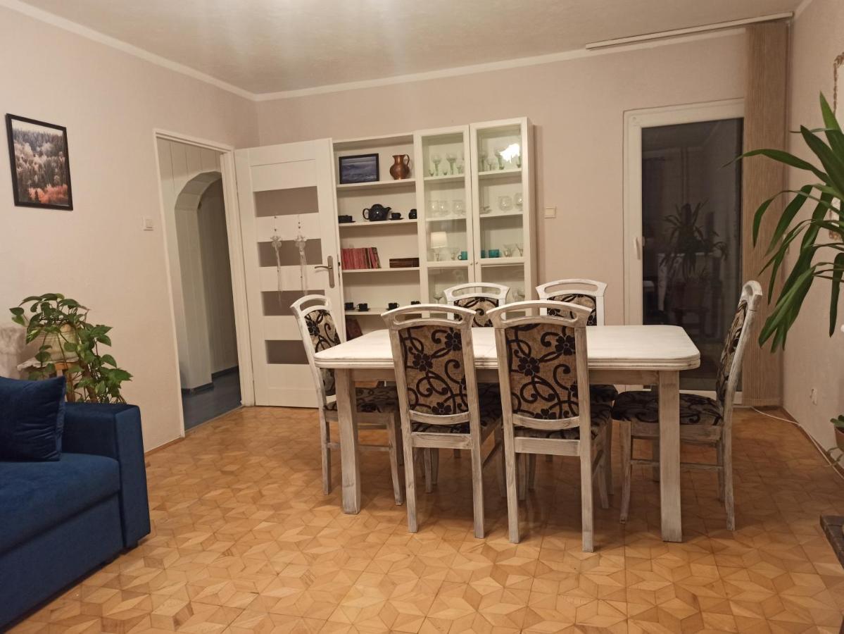 Apartament Za Rogiem Papierni ดุสนิกิ สดรอย ภายนอก รูปภาพ
