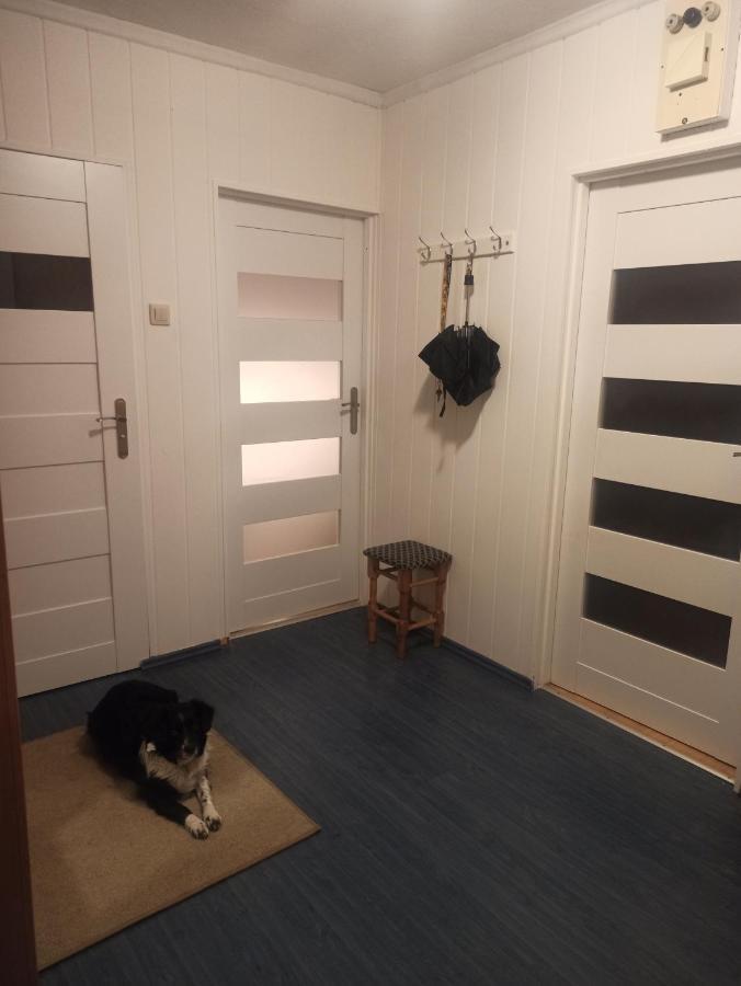 Apartament Za Rogiem Papierni ดุสนิกิ สดรอย ภายนอก รูปภาพ